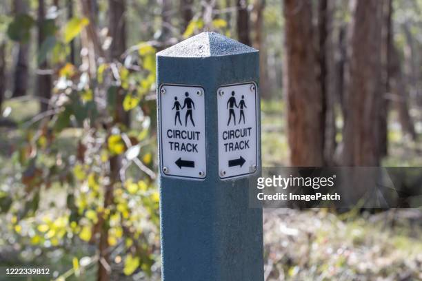 marker post on forest park walking trail - hiking pole foto e immagini stock