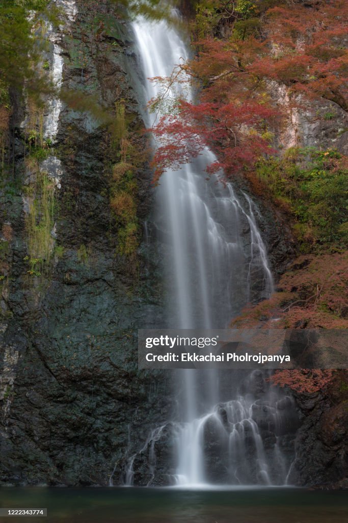 Autumn Mino waterfall in Osaka 2019NOV13