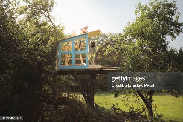 father on tree building tree house for kids - tree house bildbanksfoton och bilder