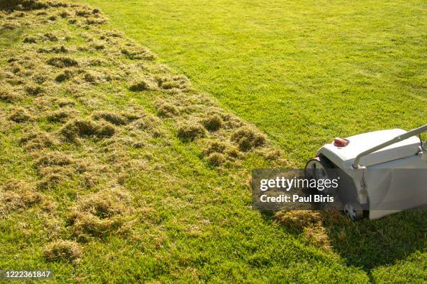 using scarifier in the garden - escarificación fotografías e imágenes de stock