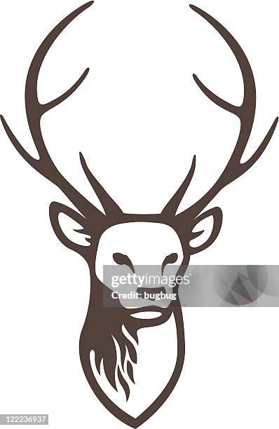 stag head - venison stock illustrations