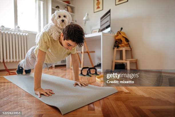 boy exercising with his pet maltese dog at home - exercise room stock pictures, royalty-free photos & images