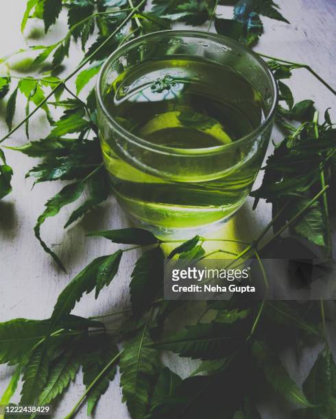 a cup of herbal green tea with fresh neem leaves - natural immunity booster. - green tea leaves stockfoto's en -beelden