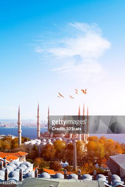 sultanahmet camii-blaue moschee istanbul - türkiye - mosque stock-fotos und bilder