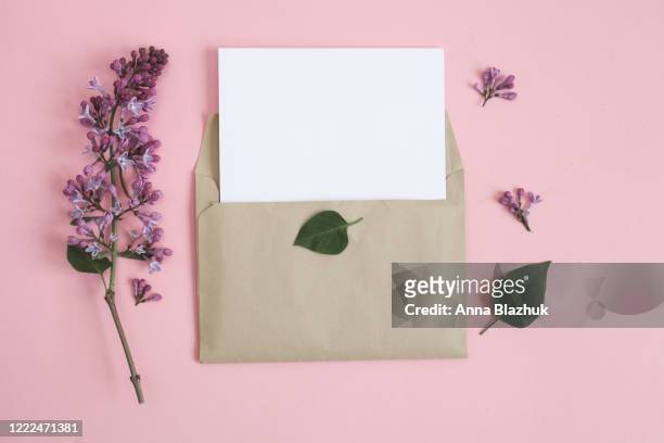wildflowers spring or summer colorful flowers flatlay, minimalistic card design with copyspace - greeting card and envelope stock pictures, royalty-free photos & images