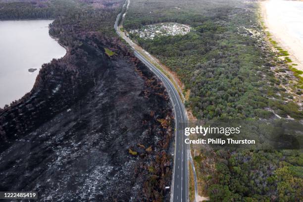 kontrast des ausgebrannten zerstörten waldes entlang einer straße - australia wildfires stock-fotos und bilder