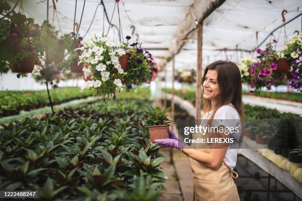 a young woman smiles while holding a flower - eintopfen stock-fotos und bilder
