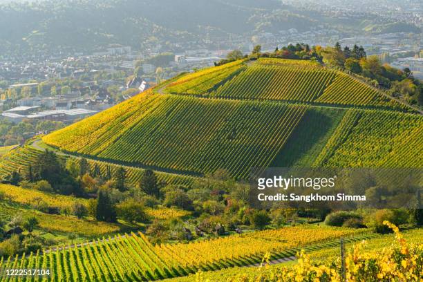 aerial view of vineyards on the hill at rotenberg, stuttgart. - stuttgart stock-fotos und bilder