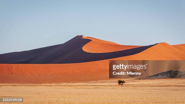 沙漠沙丘全景 納米比亞 納米布-瑙克盧夫特國家公園 - sossusvlei 個照片及圖片檔