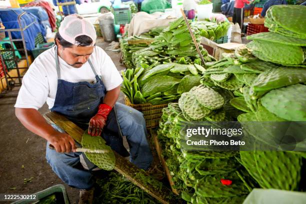 a street vendor prepares traditional nopal leaves in the town of milpa alta south of mexico city - mexican street market stock pictures, royalty-free photos & images