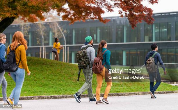 students in campus - modern school stock pictures, royalty-free photos & images