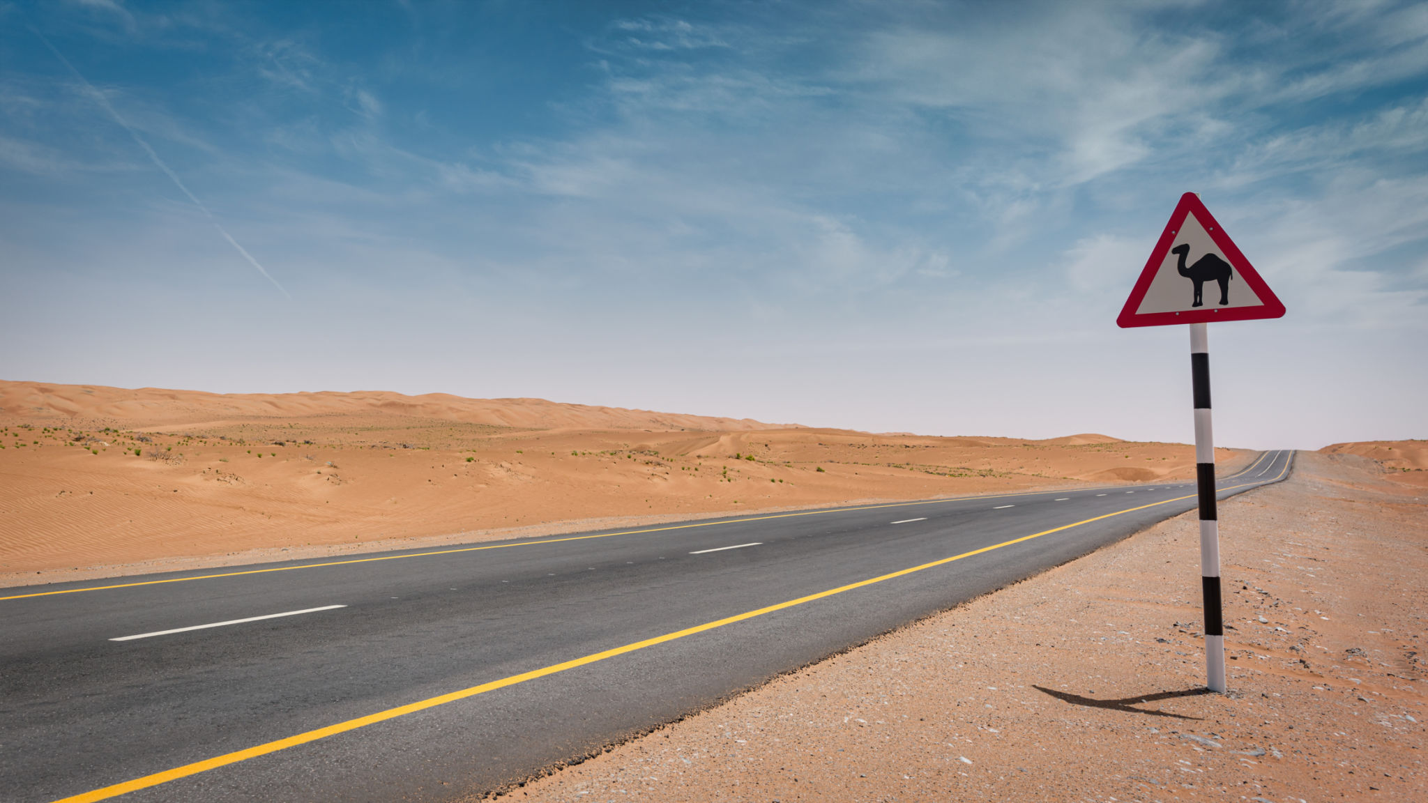 desert road safety