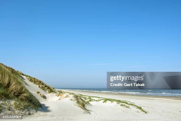 jonge duinen aan de kust - vlieland stock pictures, royalty-free photos & images