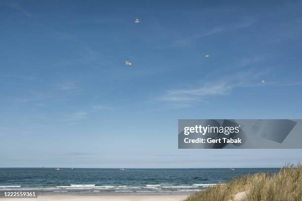 lage horizon, blauwe zee - vlieland stock pictures, royalty-free photos & images