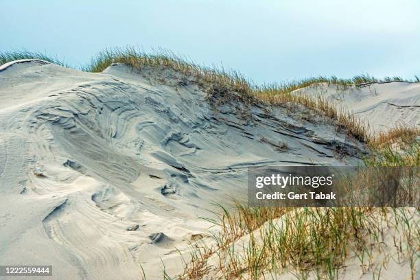 mooi gevormde duinen - vlieland stock pictures, royalty-free photos & images