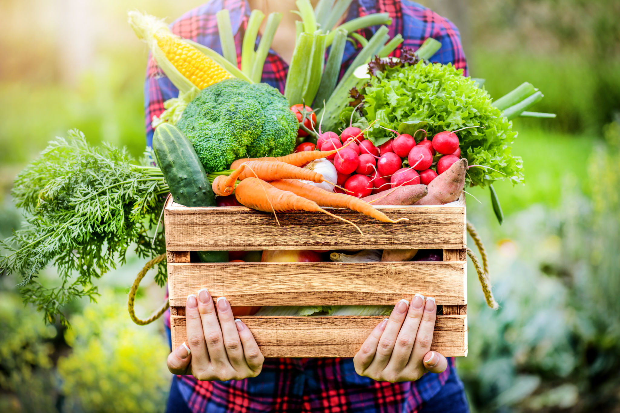seasonal produce
