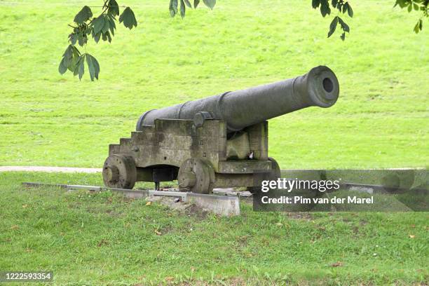 cannon - canon stock pictures, royalty-free photos & images