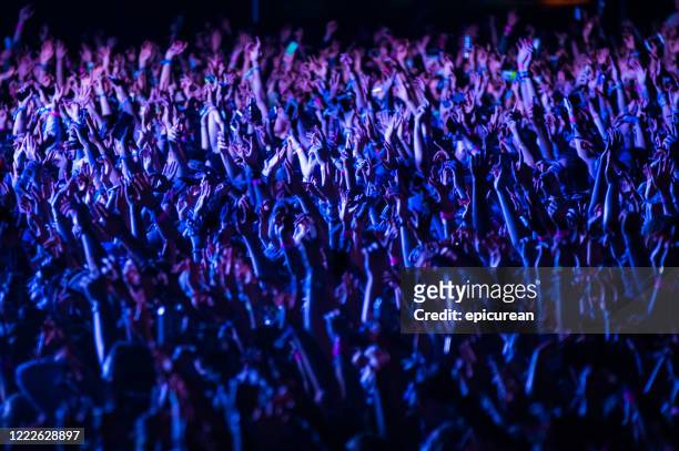 menigte van mensen die bij een muziekfestival bij nacht toejuichen - concert crowd stockfoto's en -beelden
