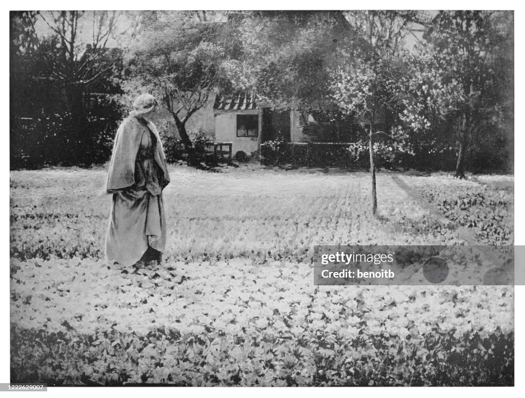 Woman walking in tulip field