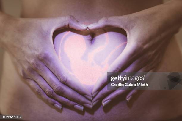 woman showing heart shape on her belly with baby painting. - fetus heart stock pictures, royalty-free photos & images