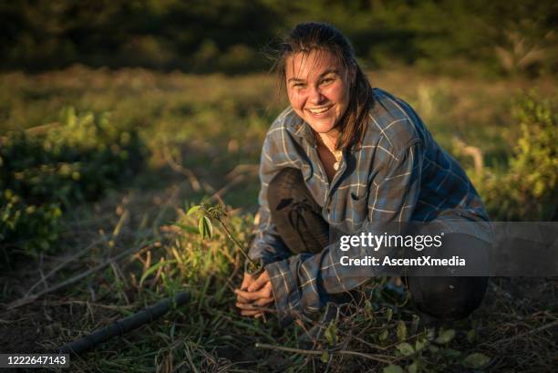 de jonge vrouw treft zich voor om zaailing te planten - sabbatical stockfoto's en -beelden