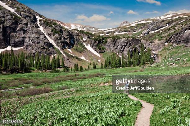 woman hiking to upper ice lakes basin - divisão continental imagens e fotografias de stock