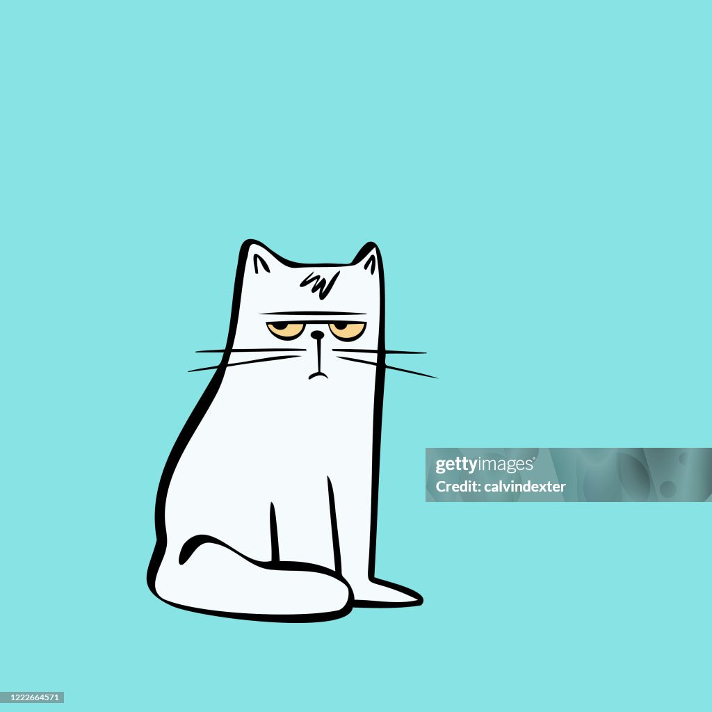 Angry Cat High-Res Vector Graphic - Getty Images