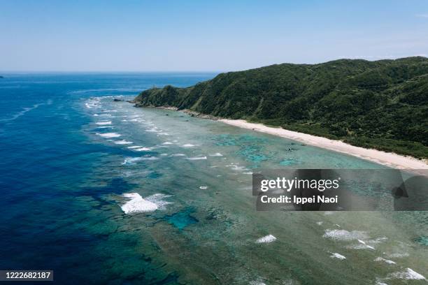 Amami Ryukyu Ryukyu Island Photos and Premium High Res Pictures - Getty Images