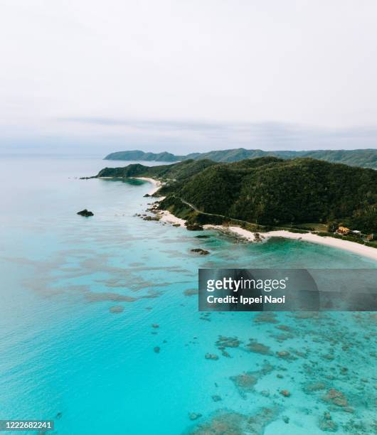 aerial view of tropical island with turquoise water, amami oshima, japan - amami stockfoto's en -beelden