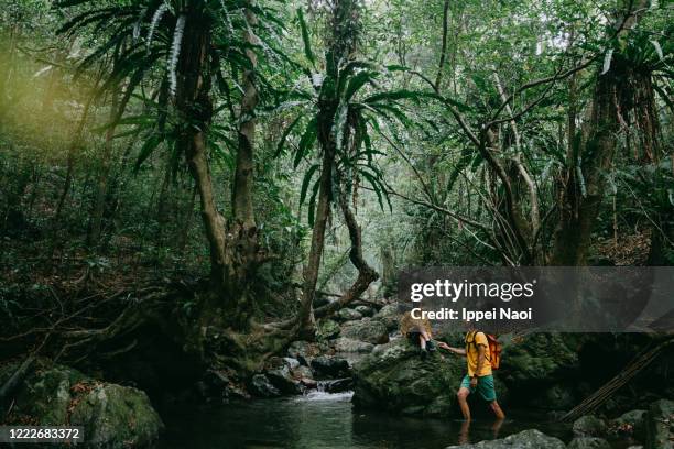 Amami Language 947 Amami Island Stock Photos, High-Res Pictures, and Images - Getty Images