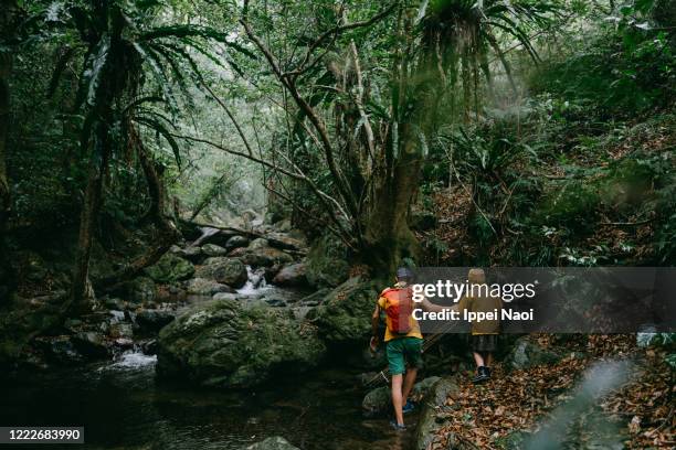Amami Language 976 Amami Island Stock Photos, High-Res Pictures, and Images - Getty Images