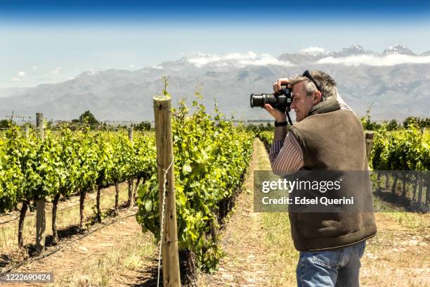 fotograaf maakt foto's in de malbec wijngaarden aan de voet van de andes. tupungato, mendoza, argentinië. - mendoza stockfoto's en -beelden