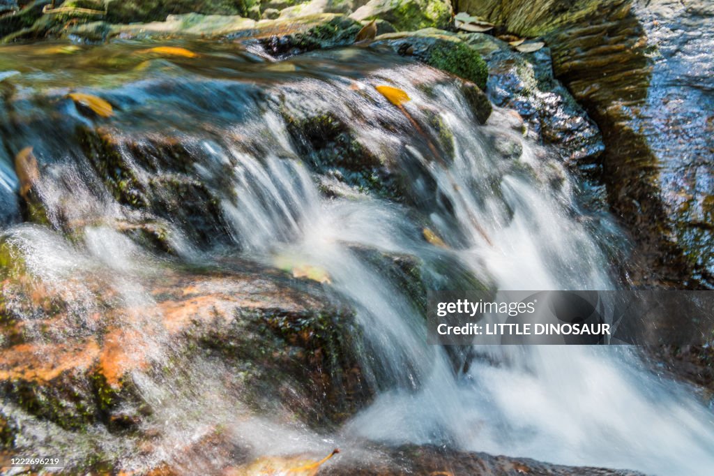 Mossy mountain and stream. The splash shining in the sunlight.