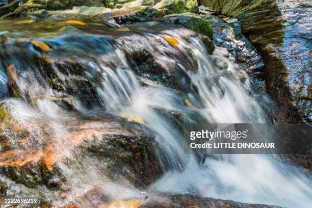 mossy mountain and stream. the splash shining in the sunlight. - mie prefecture stock pictures, royalty-free photos & images