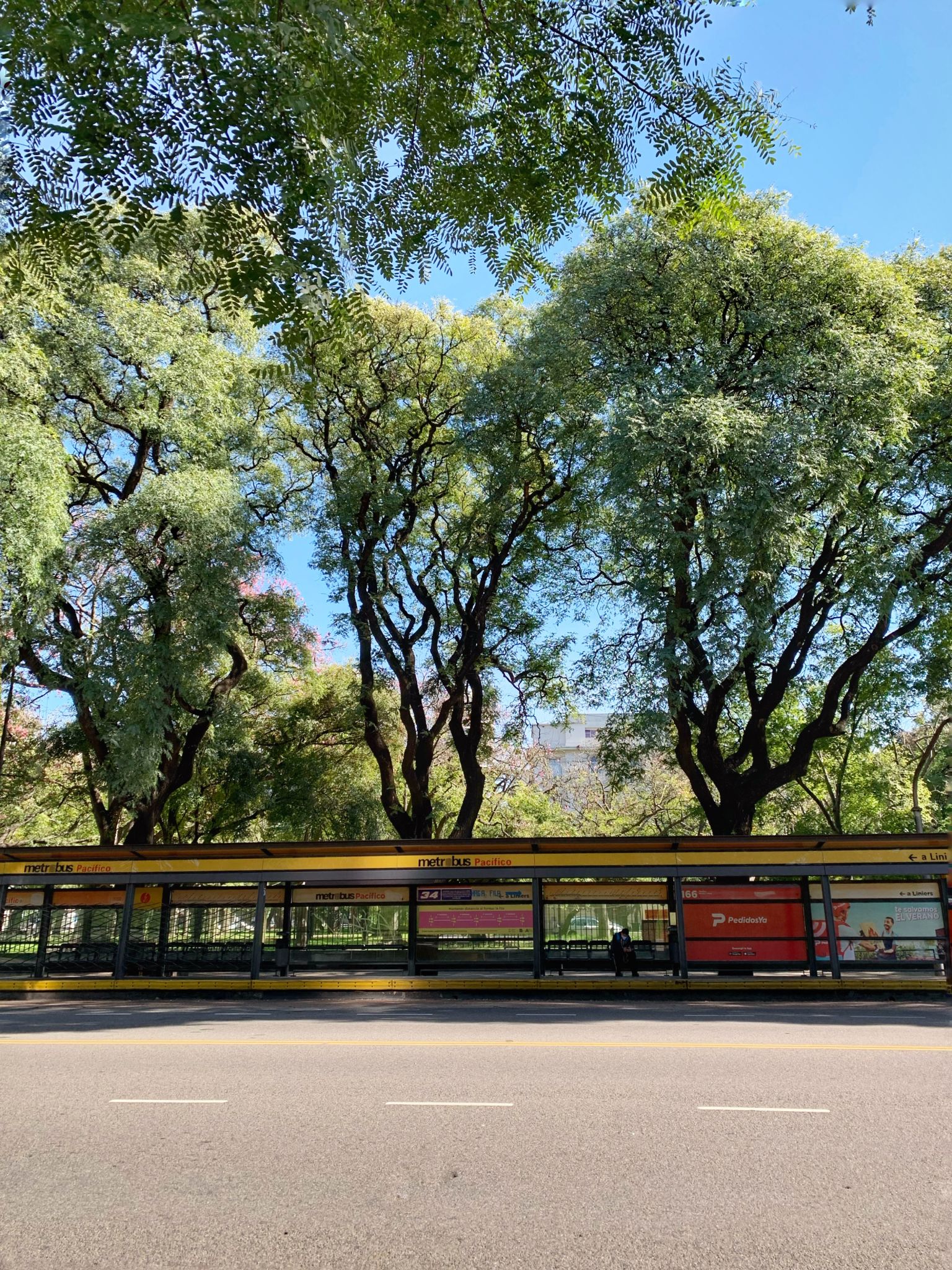 colectivo en argentina