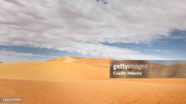 camel train sahara desert sand dunes panorama erg chebbi morocco - desert sable stock pictures, royalty-free photos & images