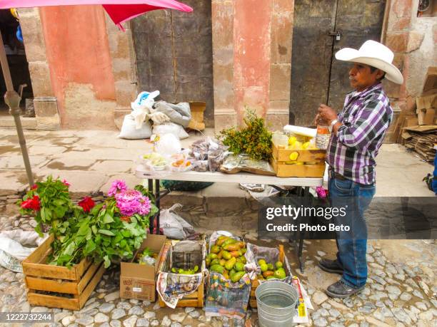 メキシコ中部のレアル・デ・カソルスのダウンタウンにある露天商 - san luis potosi ストックフォトと画像