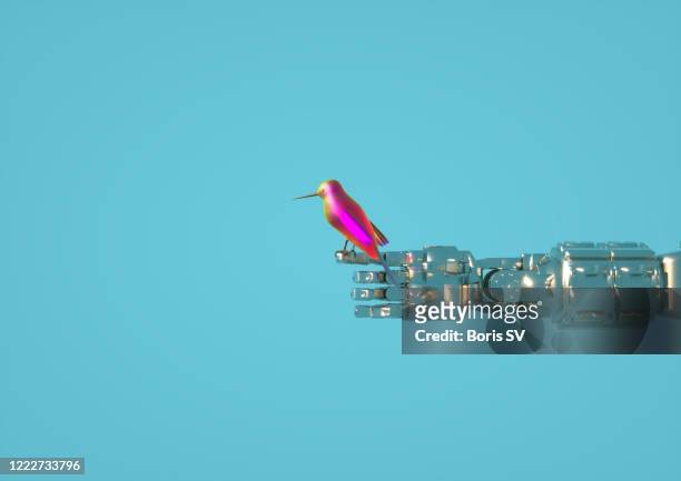 hummingbird on robots arm - metal fingers stock pictures, royalty-free photos & images