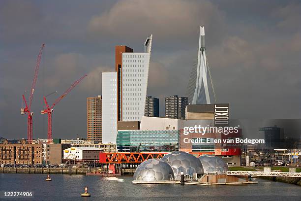 harbour and rotterdam skyline - erasmusbrug stock pictures, royalty-free photos & images