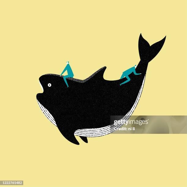 two businessmen ride on the whale. - blue whale stock illustrations