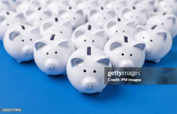 little white piggy banks close up - bank account stock pictures, royalty-free photos & images