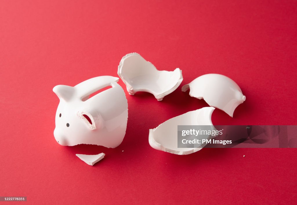 Piggy bank in pieces
