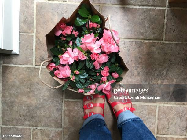 first person perspective looking down at a brown grocery bag with azalea blossoms - azalee stock-fotos und bilder