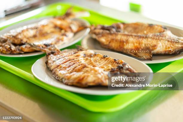 three white dishes of pacu fish (serrasalmus) in yapacani, santa cruz / bolivia - pacu fish stock pictures, royalty-free photos & images
