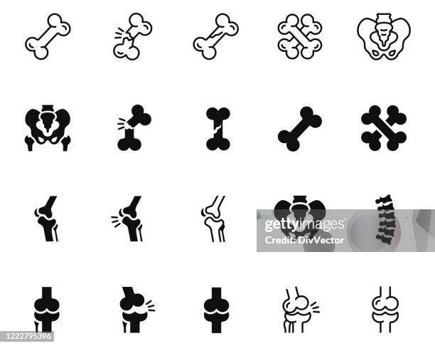 1 555点の犬用の骨イラスト素材 Getty Images 1 555点の犬用の骨イラスト素材 Getty Images