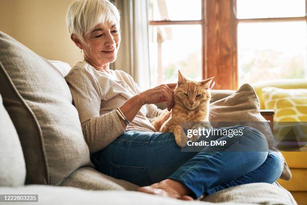 this is her favourite tickle spot - leisure activity home stock pictures, royalty-free photos & images