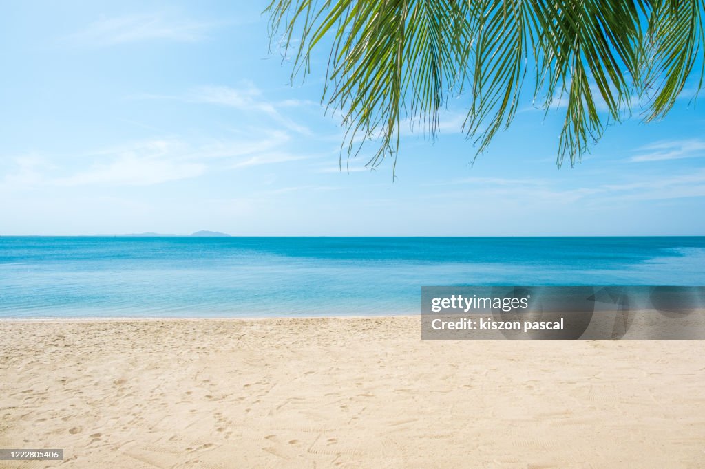Scenic View Of Tropical paradise beach and palm leaf Against Blue Sky .