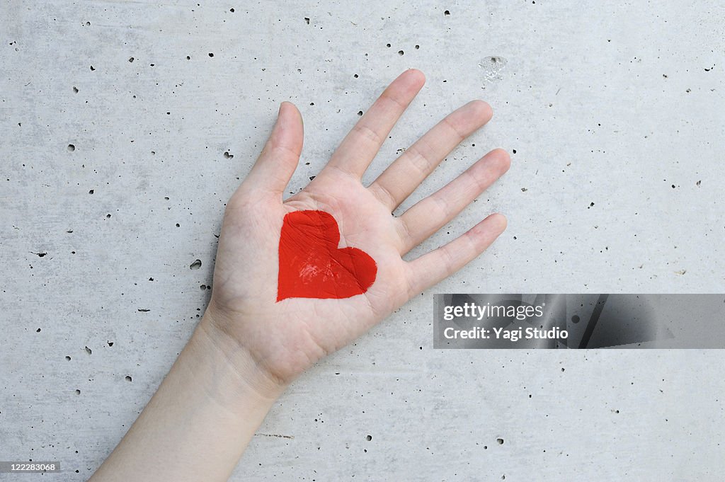 The picture of the heart drawn in the palm