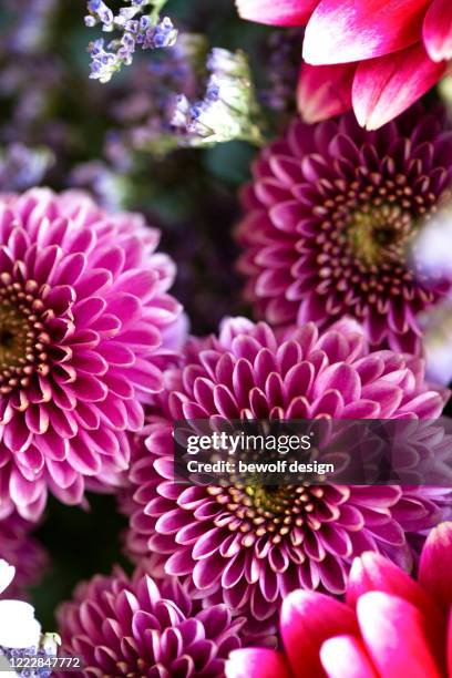 German Static 70 German Statice Stock Photos, High-Res Pictures, and Images - Getty ...