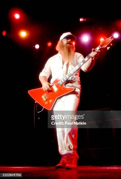 American Rock musician Dusty Hill, of the group ZZ Top, performs onstage at the Metro Center, Rockford, Illinois, February 8. 1984.